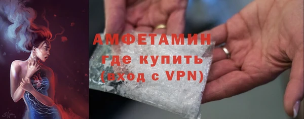 гашик Зеленокумск