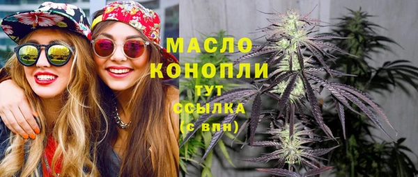 гидра Зеленодольск