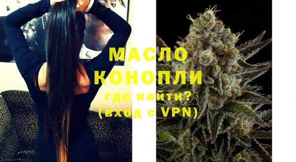 гидра Зеленодольск
