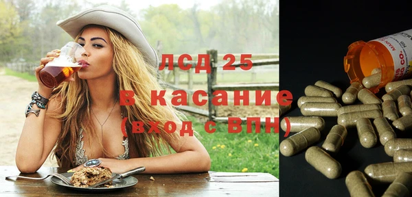 гидра Зеленодольск