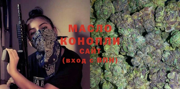 гидра Зеленодольск