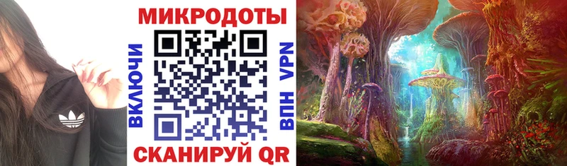 Купить где  Городовиковск  Псилоцибиновые грибы мухоморы 
